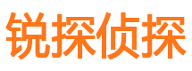 江汉侦探公司